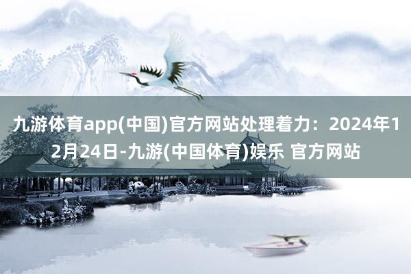 九游体育app(中国)官方网站处理着力：2024年12月24日-九游(中国体育)娱乐 官方网站