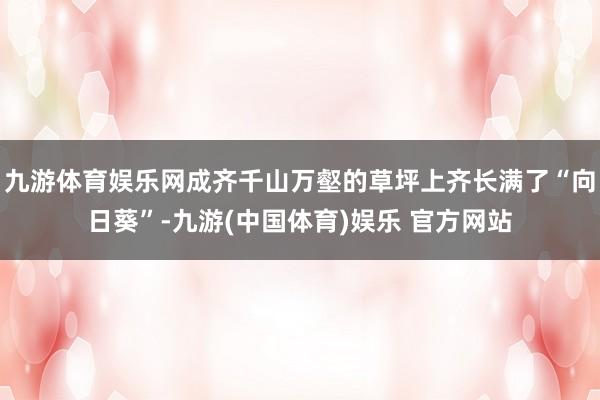 九游体育娱乐网成齐千山万壑的草坪上齐长满了“向日葵”-九游(中国体育)娱乐 官方网站