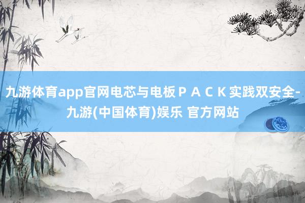 九游体育app官网电芯与电板ＰＡＣＫ实践双安全-九游(中国体育)娱乐 官方网站