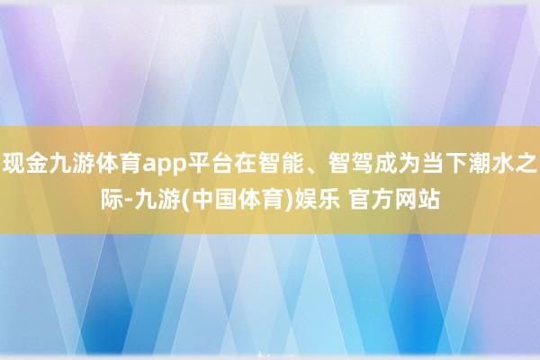 现金九游体育app平台在智能、智驾成为当下潮水之际-九游(中国体育)娱乐 官方网站