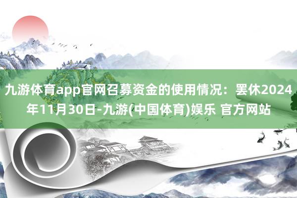 九游体育app官网召募资金的使用情况：罢休2024年11月30日-九游(中国体育)娱乐 官方网站