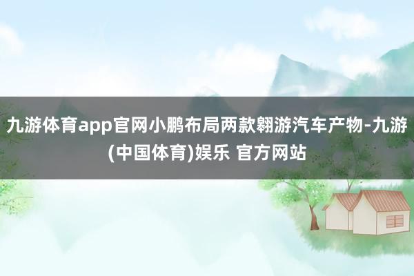 九游体育app官网小鹏布局两款翱游汽车产物-九游(中国体育)娱乐 官方网站