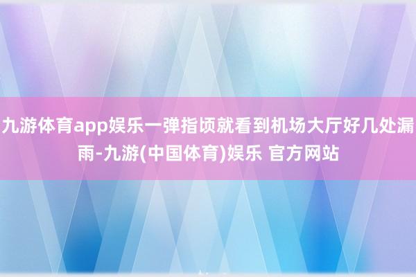 九游体育app娱乐一弹指顷就看到机场大厅好几处漏雨-九游(中国体育)娱乐 官方网站
